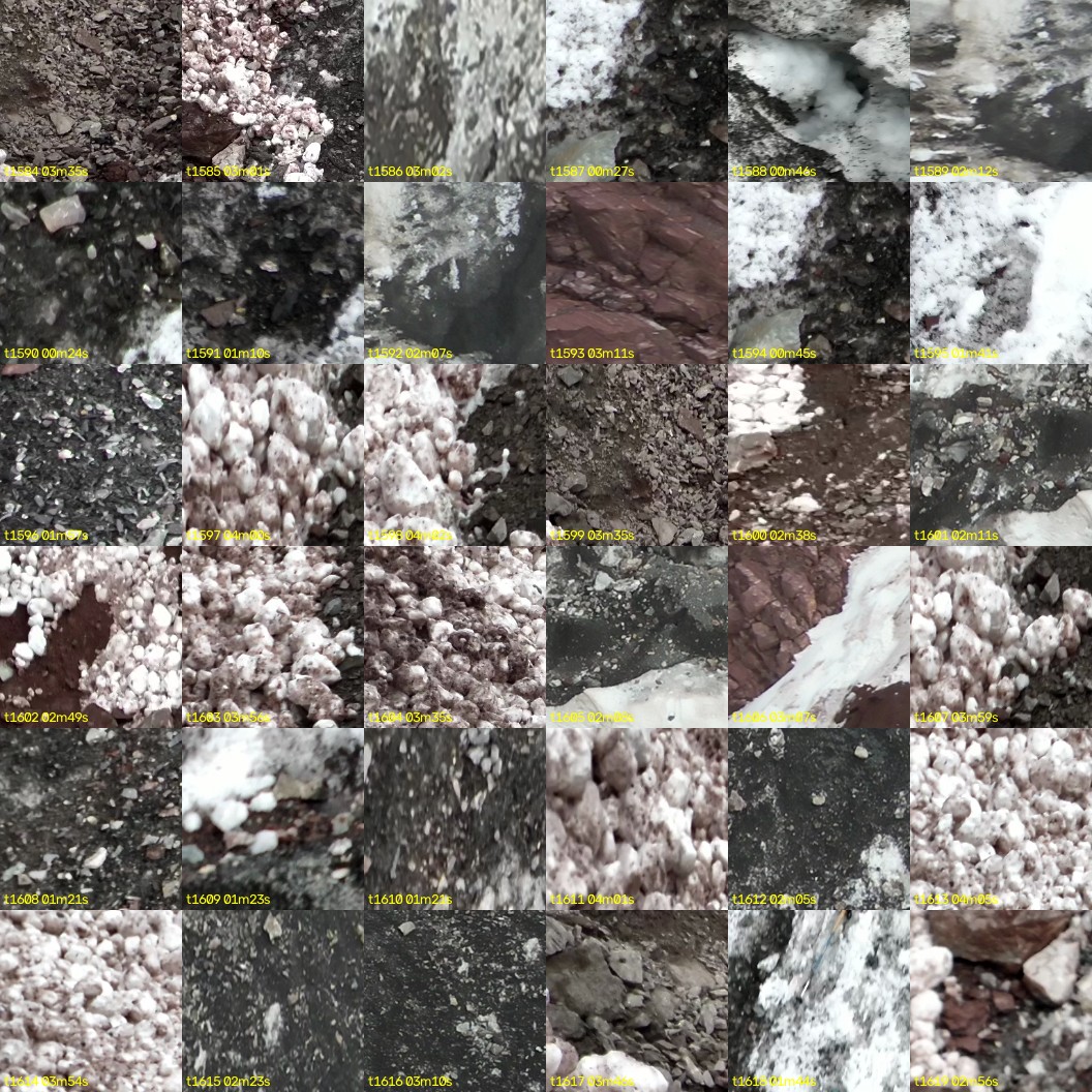 montage_44.jpg
