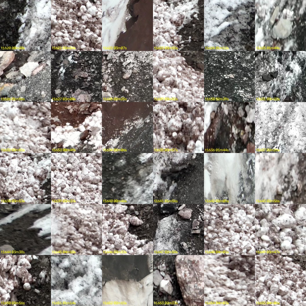 montage_45.jpg