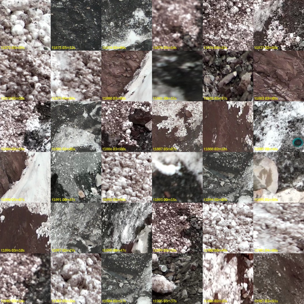montage_52.jpg