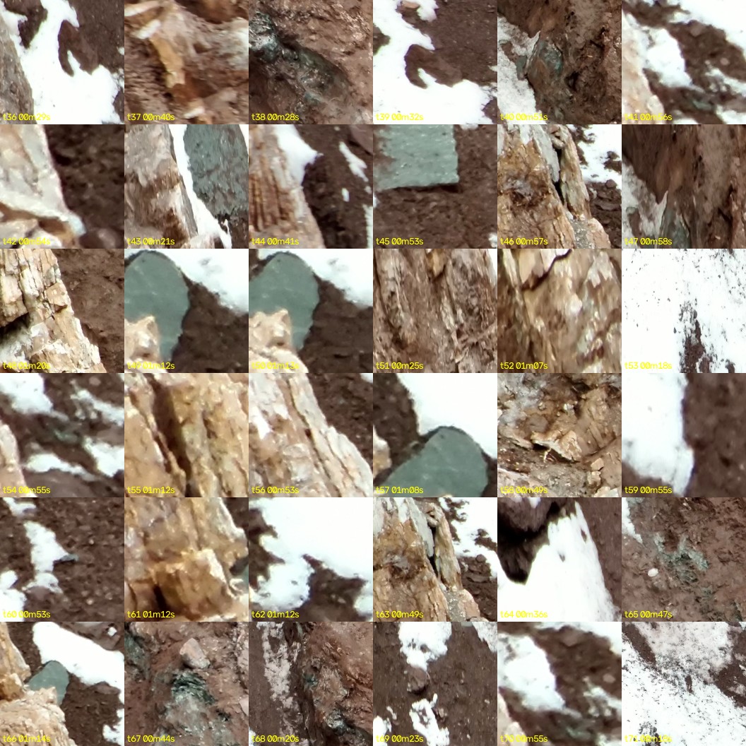 montage_01.jpg