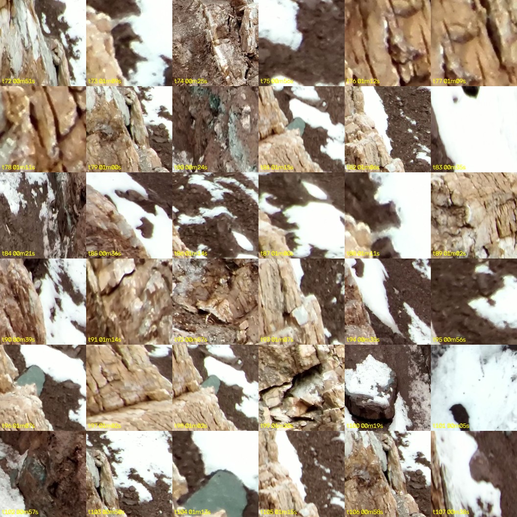 montage_02.jpg