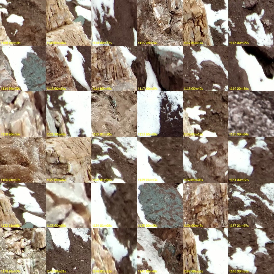 montage_03.jpg