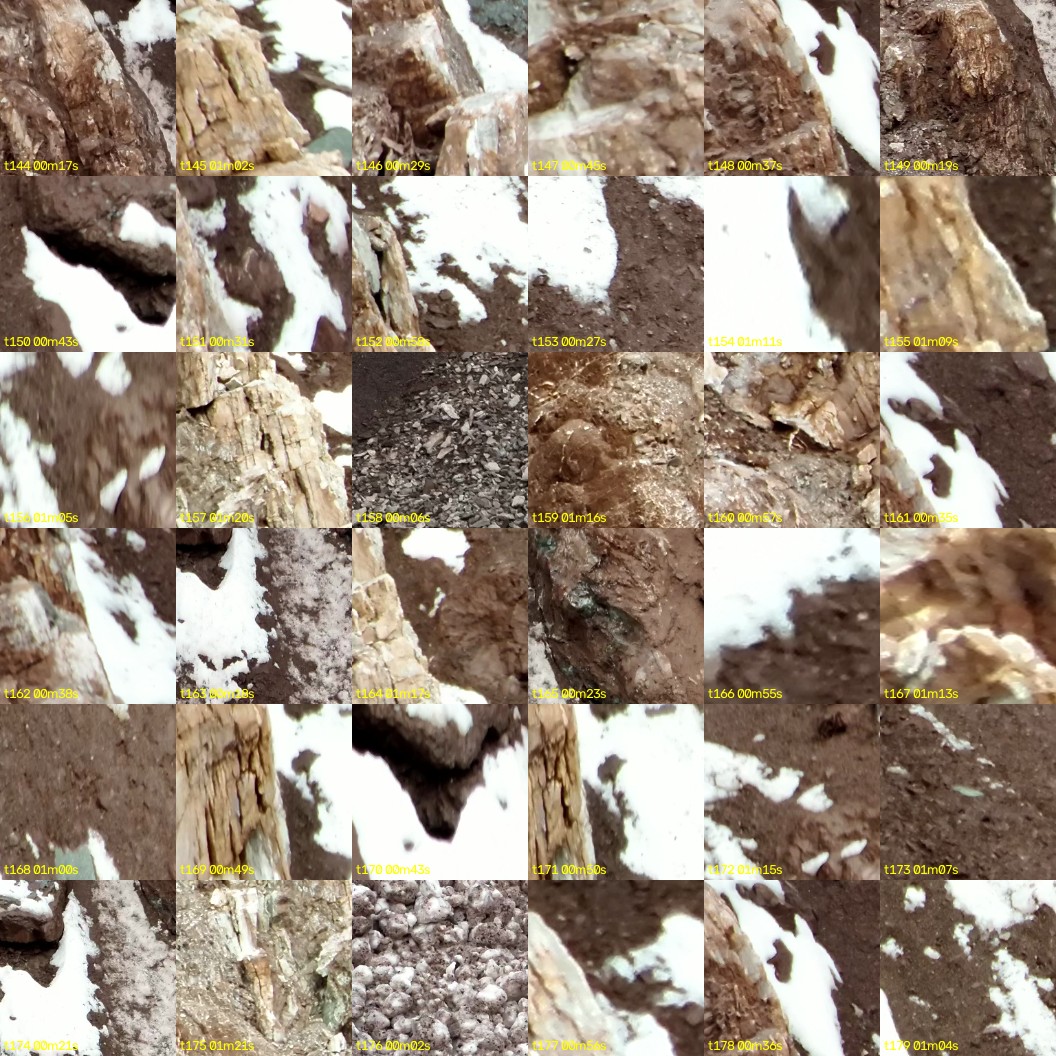 montage_04.jpg