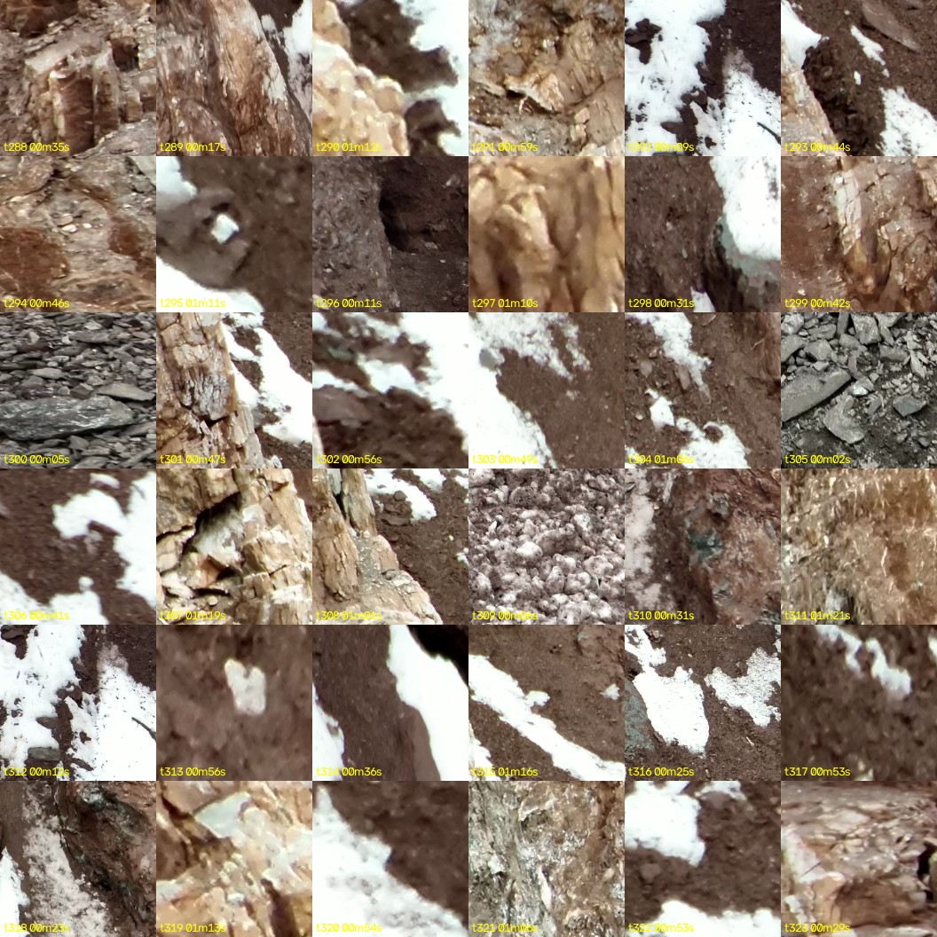 montage_08.jpg