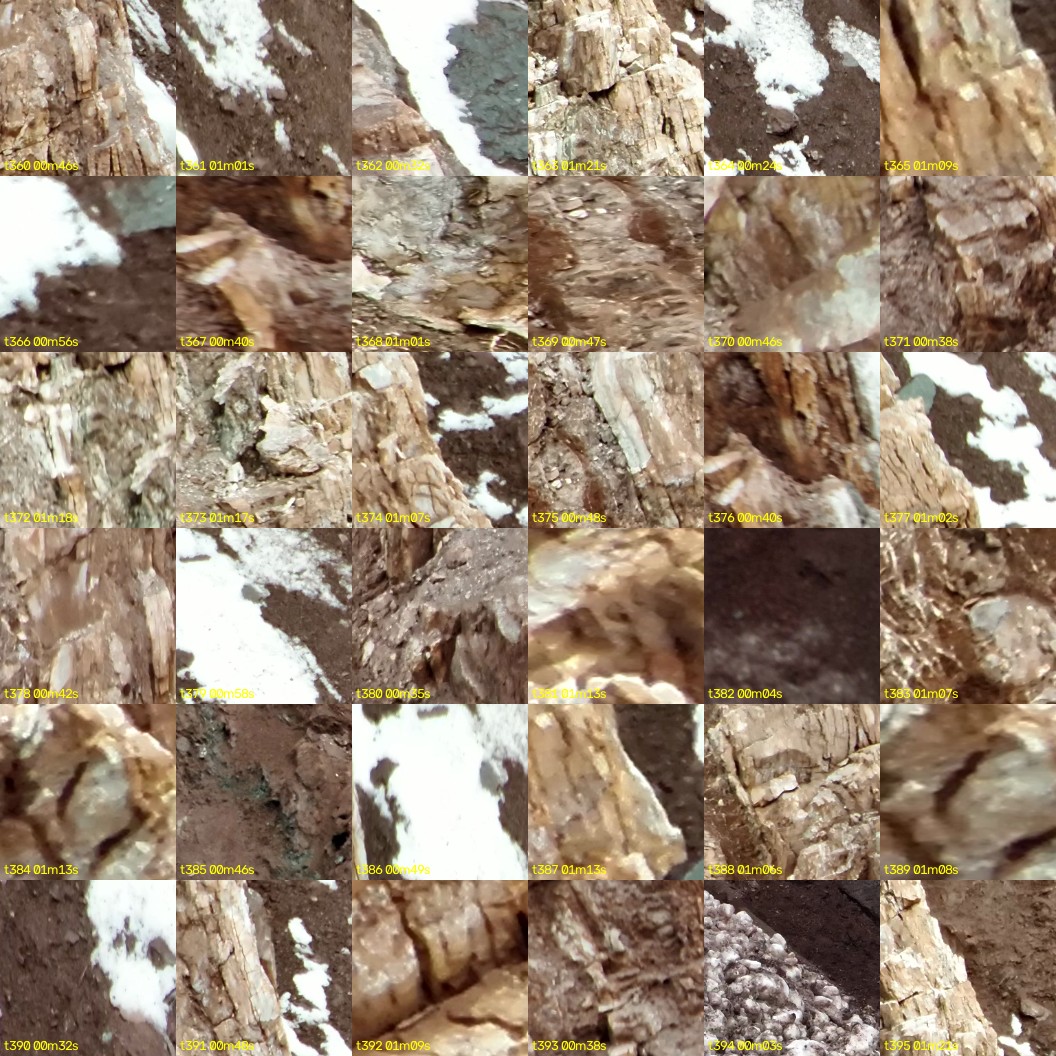 montage_10.jpg