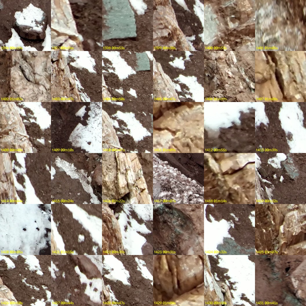 montage_11.jpg