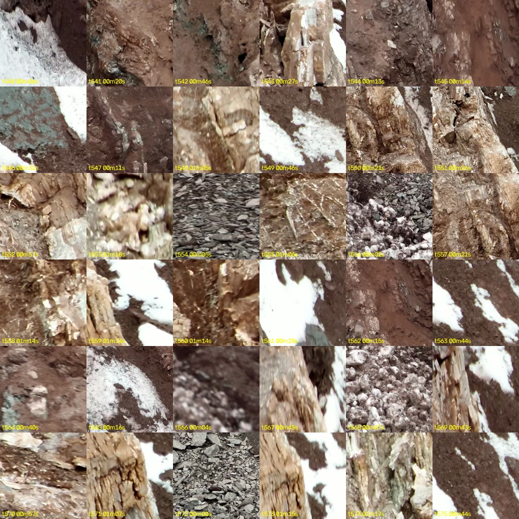 montage_15.jpg