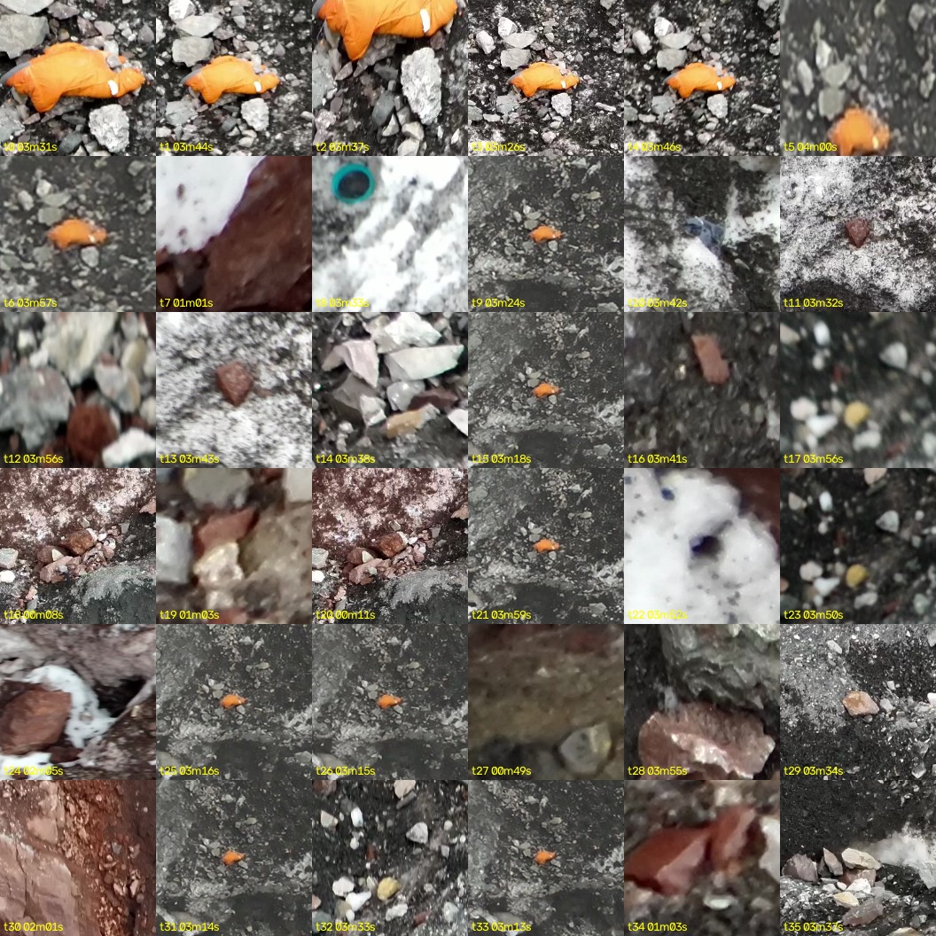montage_00.jpg