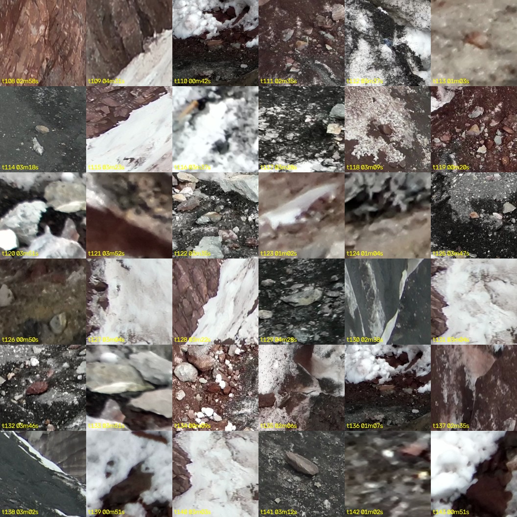 montage_03.jpg