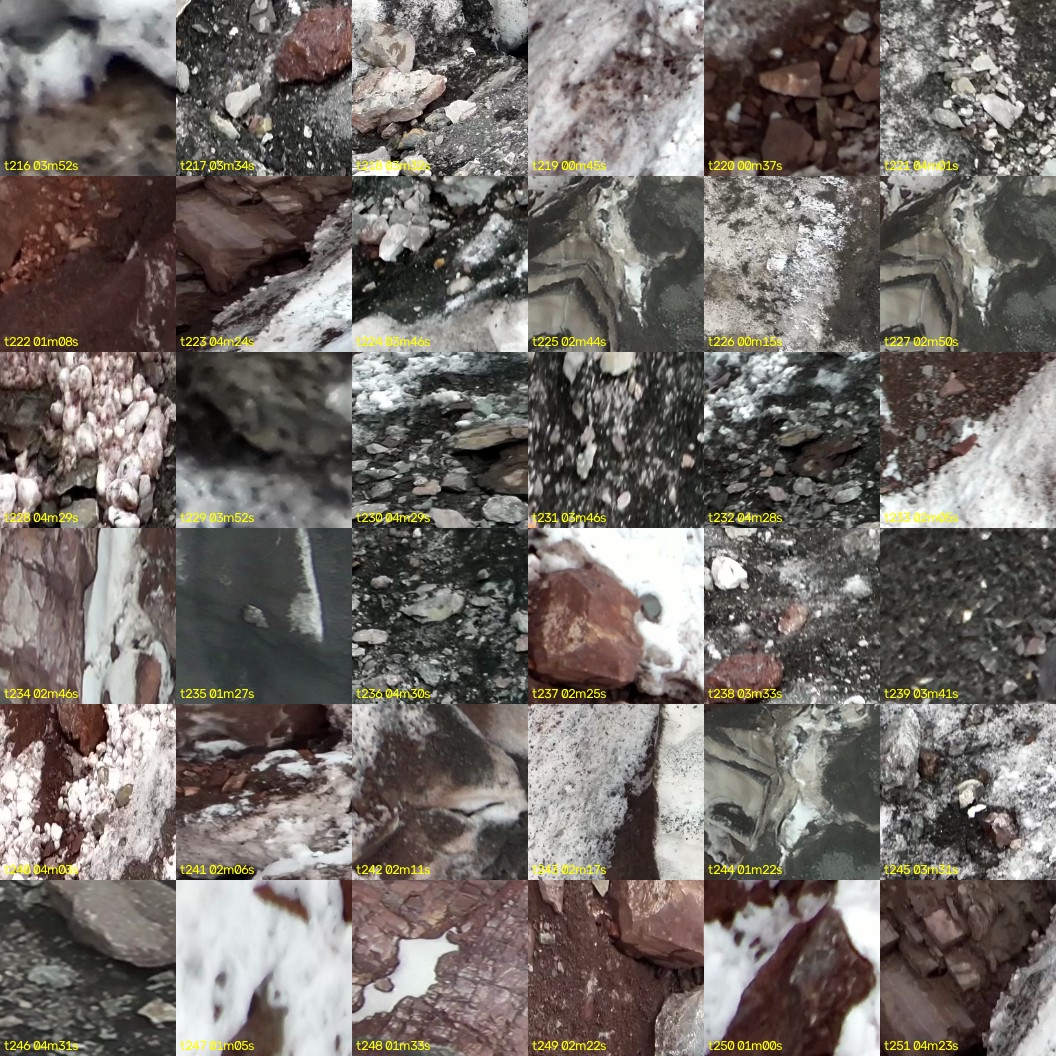 montage_06.jpg