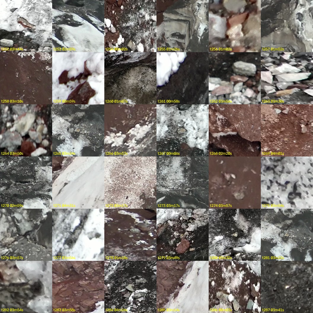 montage_07.jpg