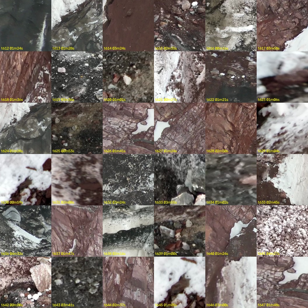 montage_17.jpg