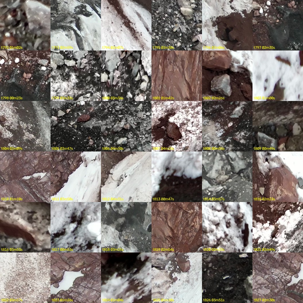 montage_22.jpg