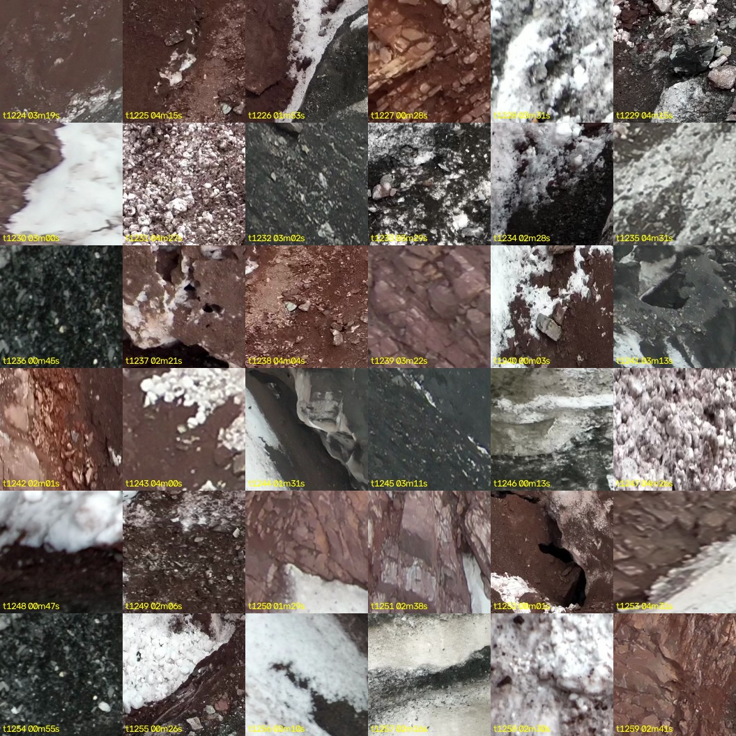 montage_34.jpg