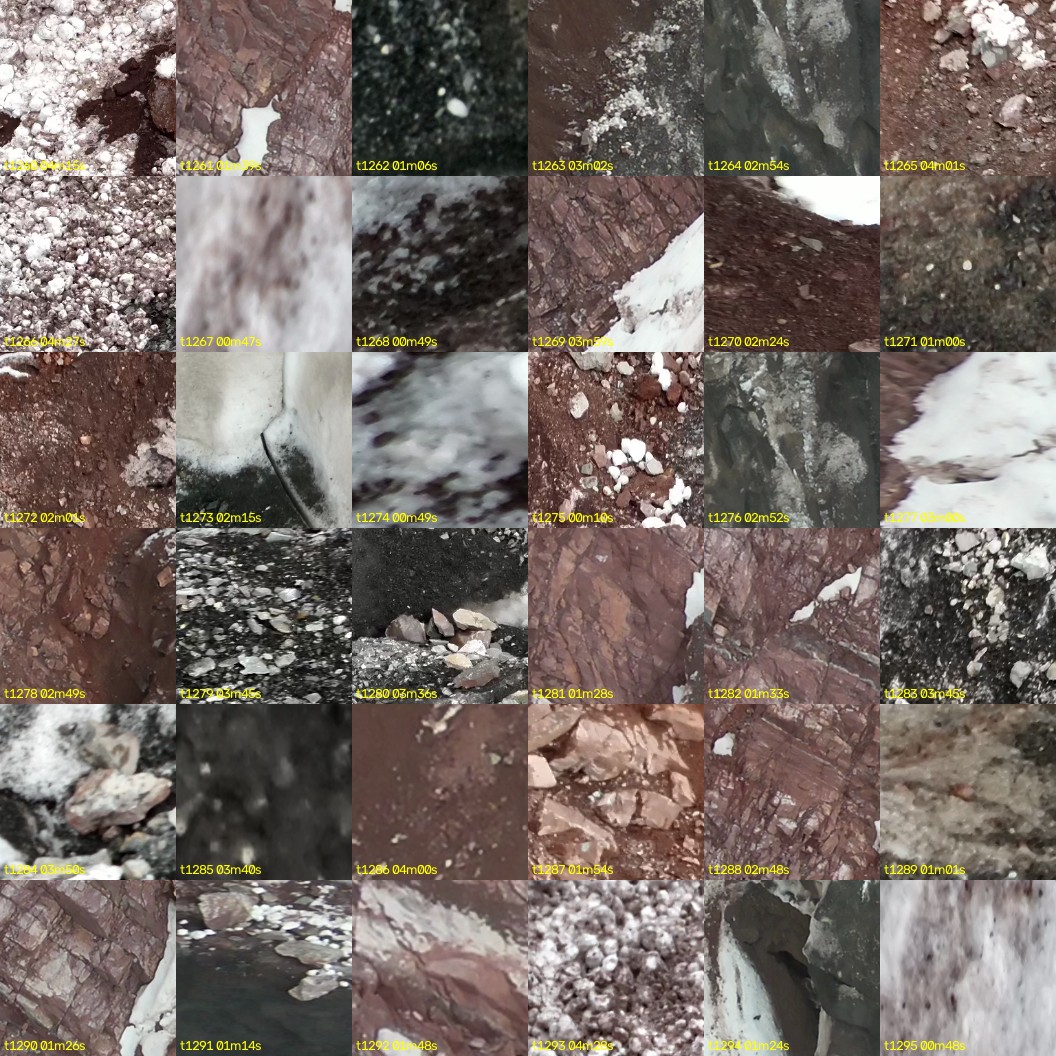 montage_35.jpg