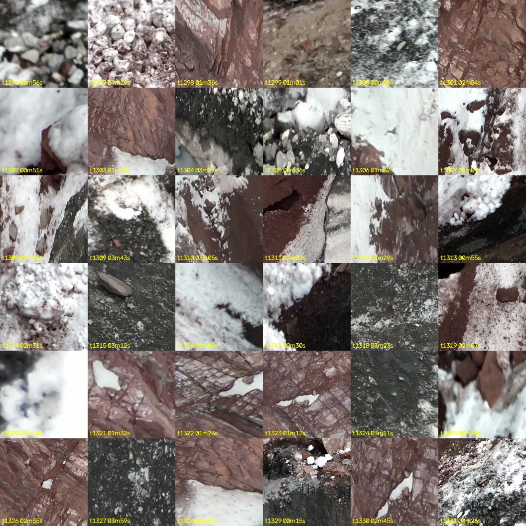 montage_36.jpg