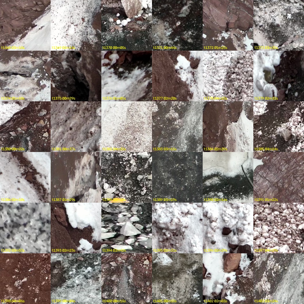 montage_38.jpg