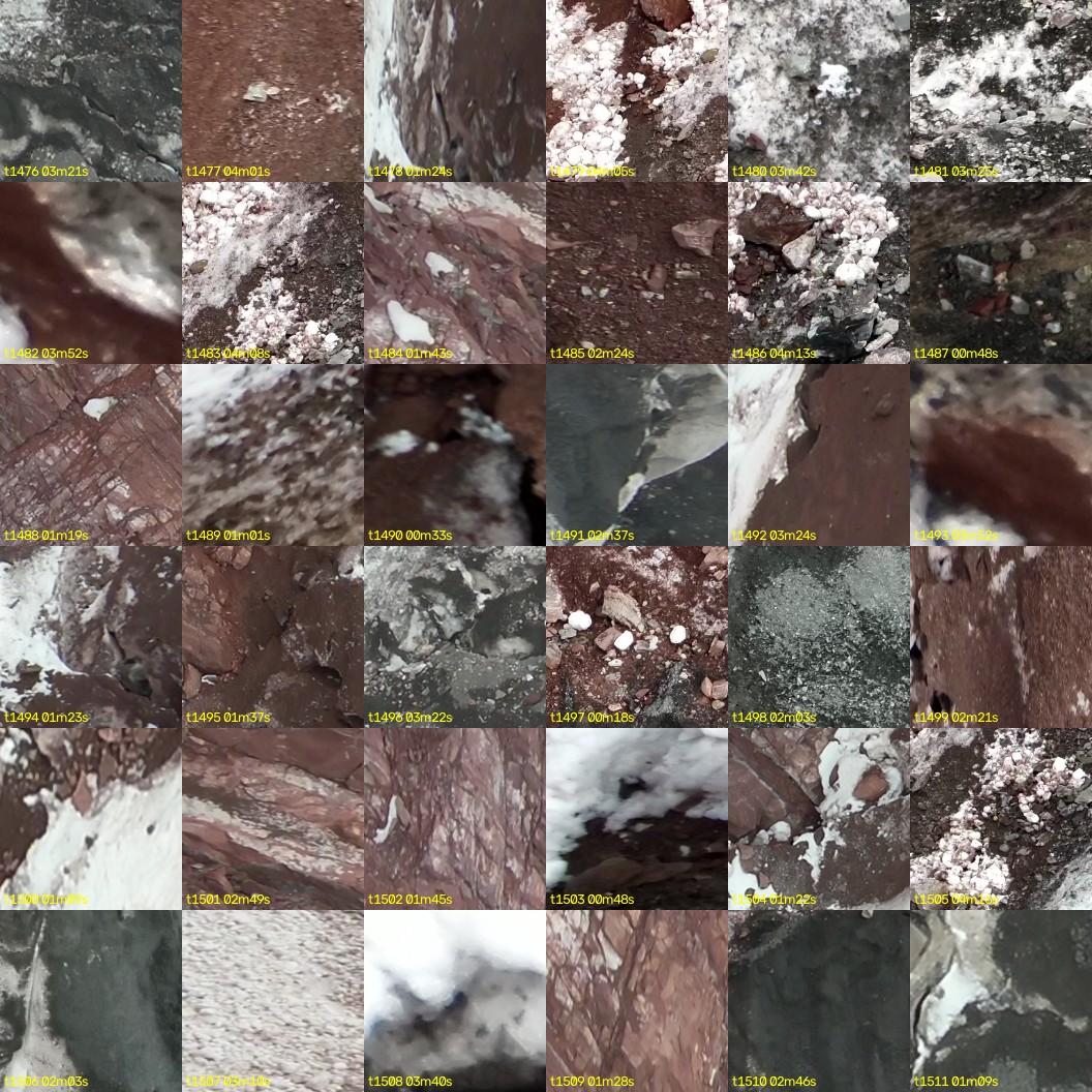montage_41.jpg