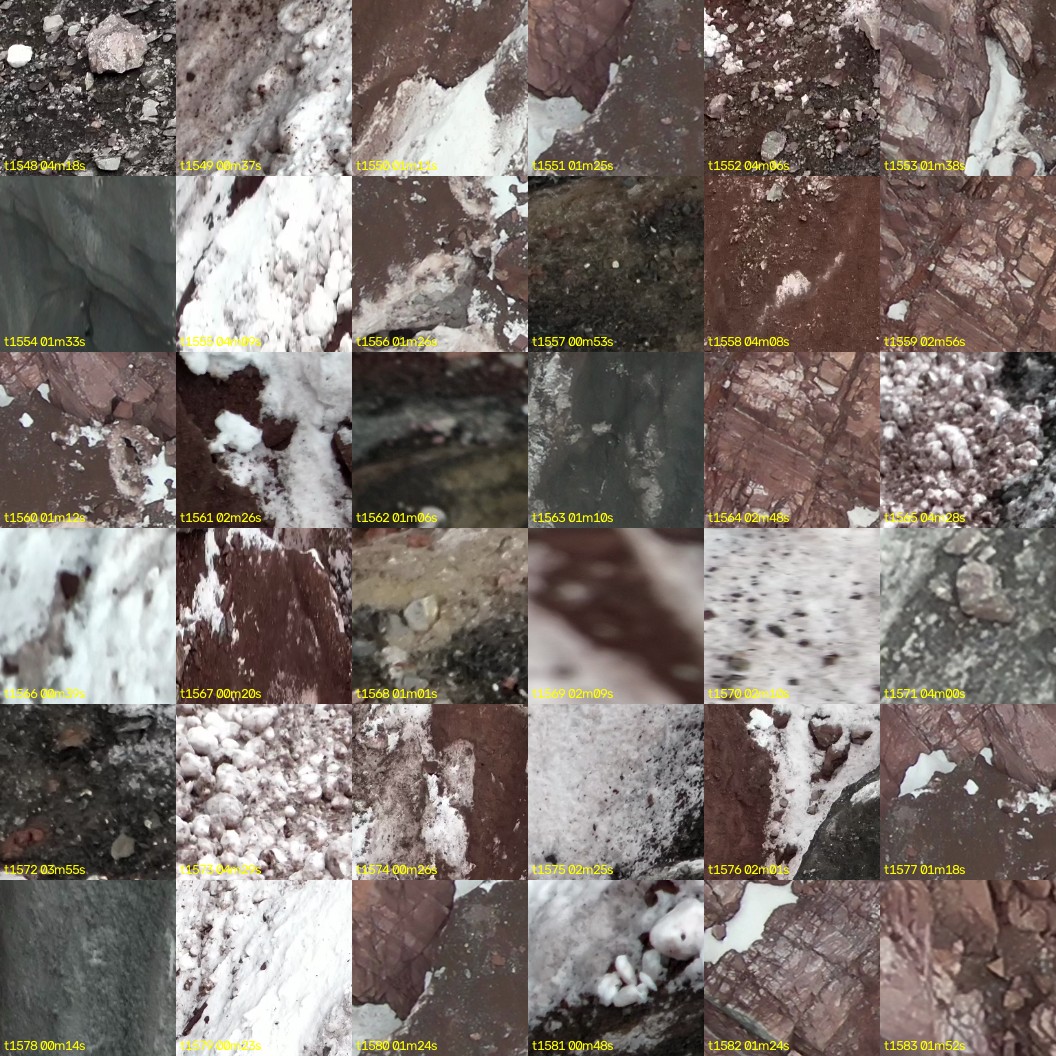 montage_43.jpg