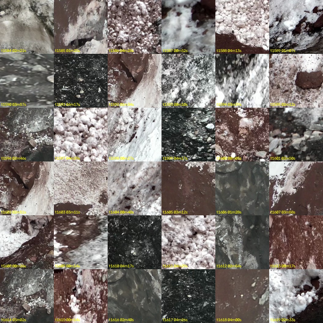 montage_44.jpg
