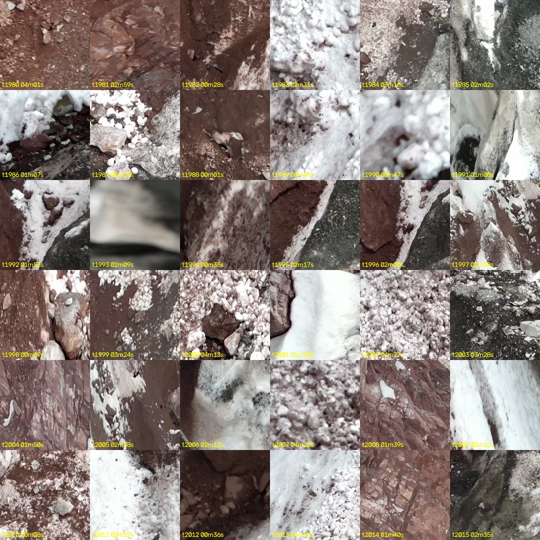 montage_55.jpg