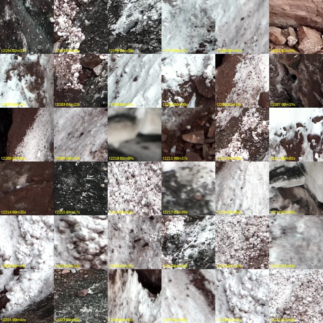 montage_61.jpg