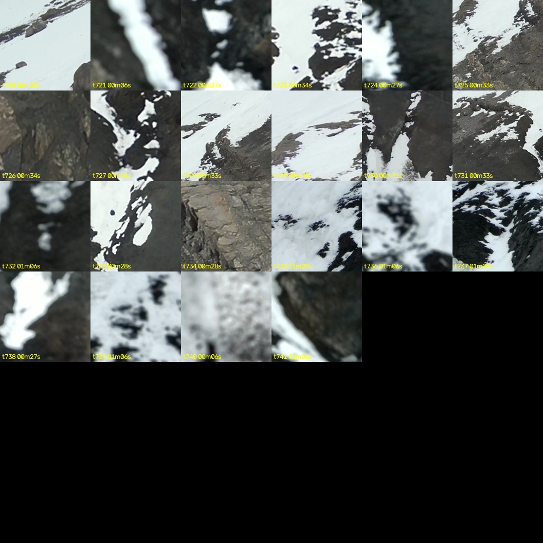 montage_20.jpg