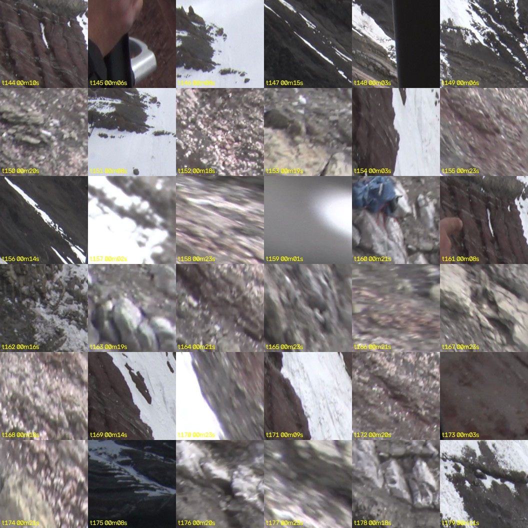 montage_04.jpg