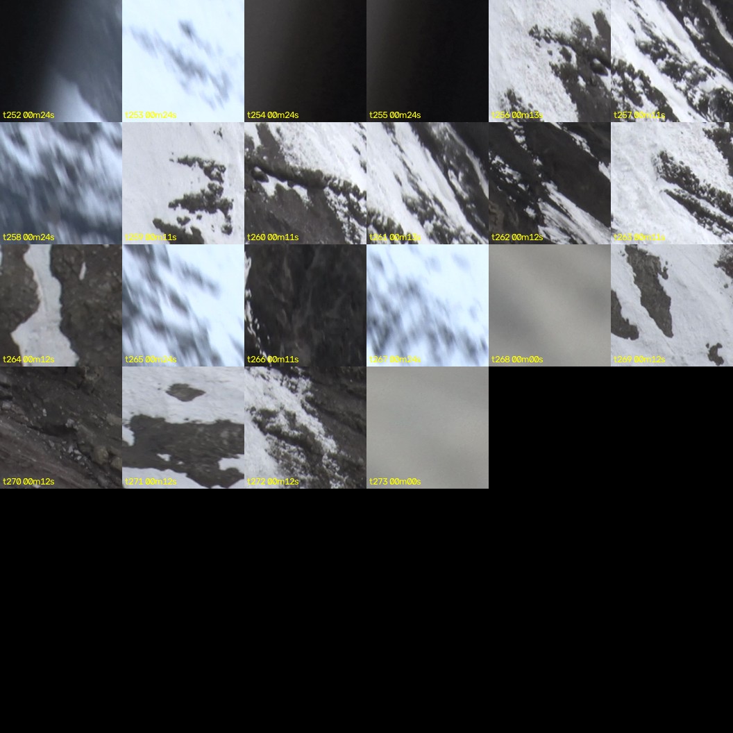 montage_07.jpg