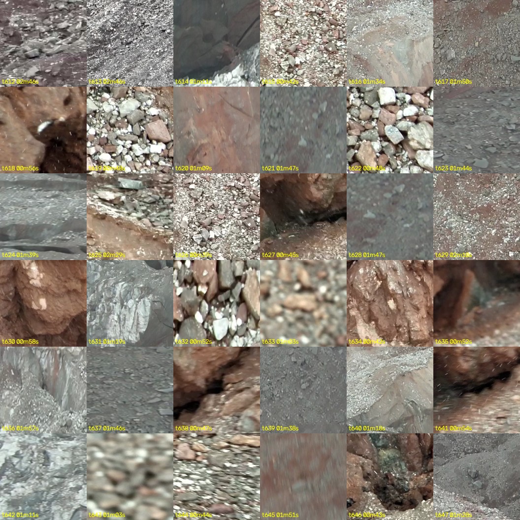 montage_17.jpg