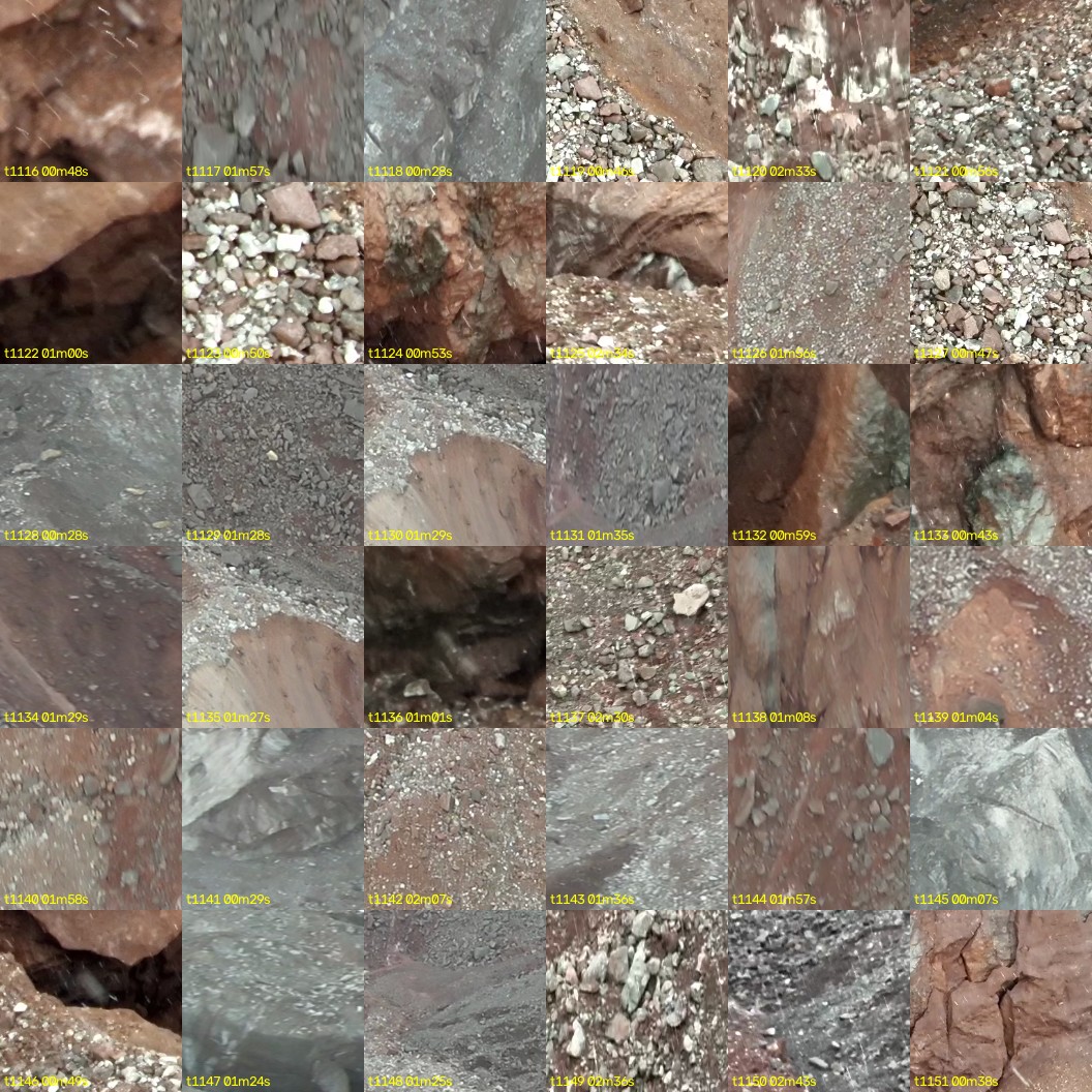 montage_31.jpg