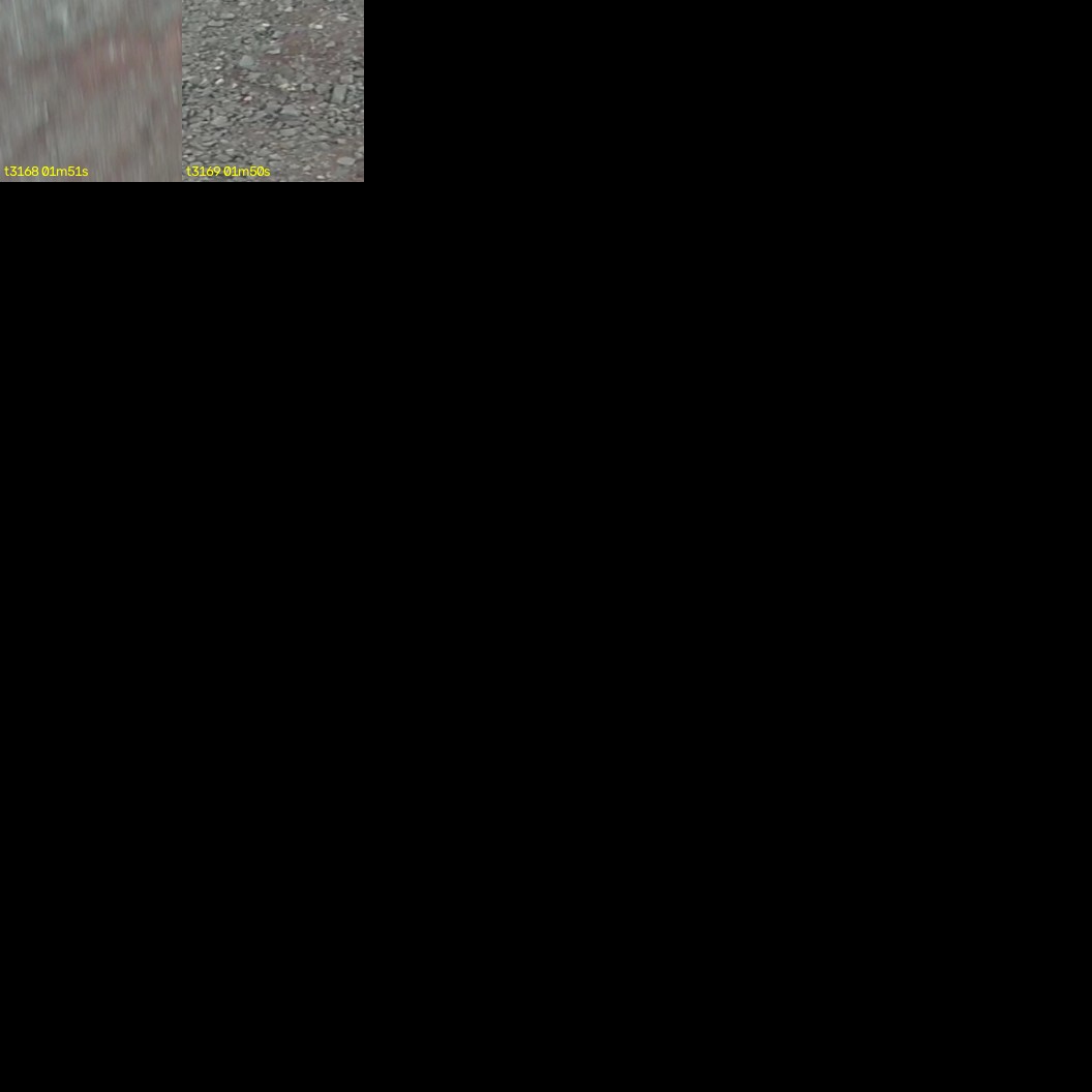 montage_88.jpg