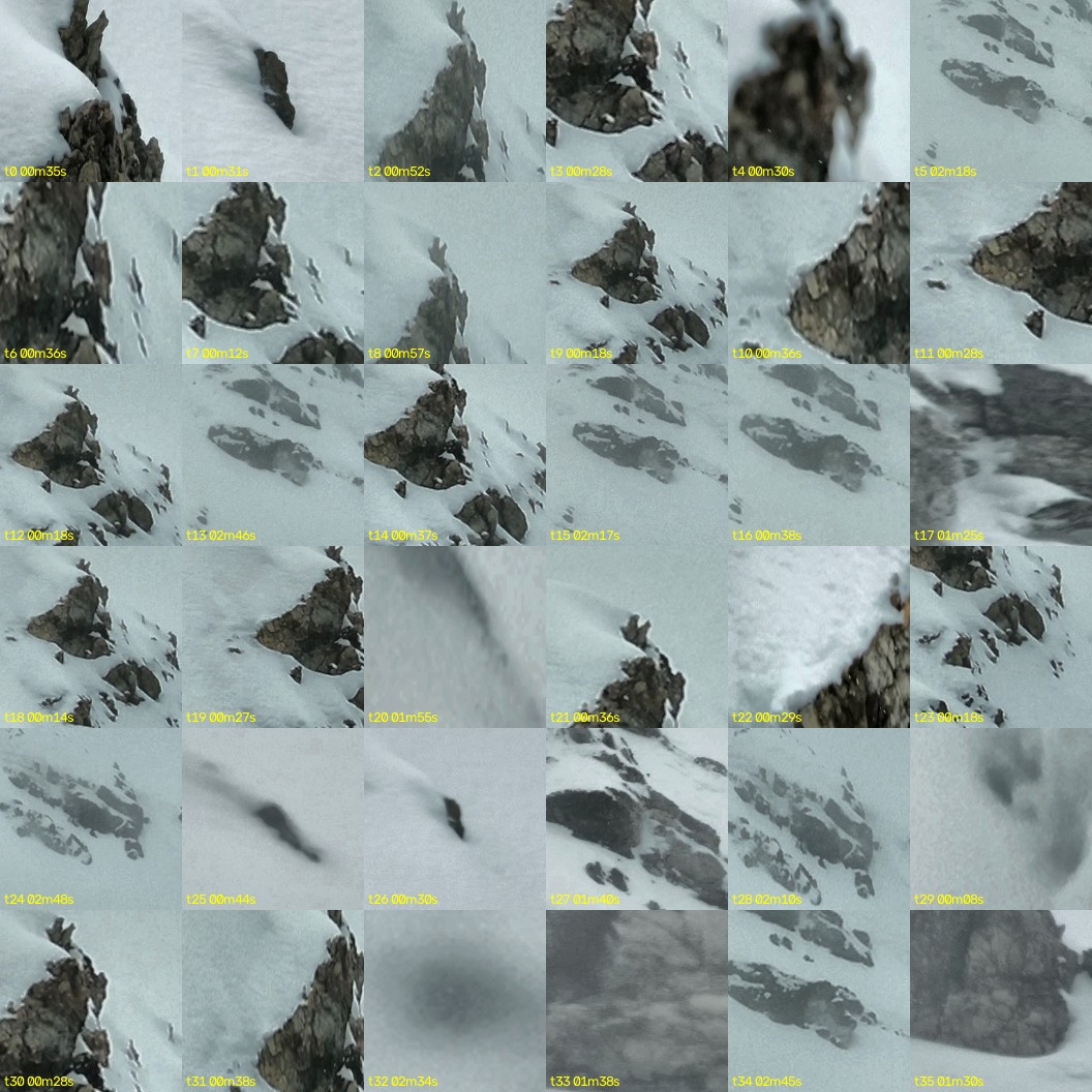 montage_00.jpg