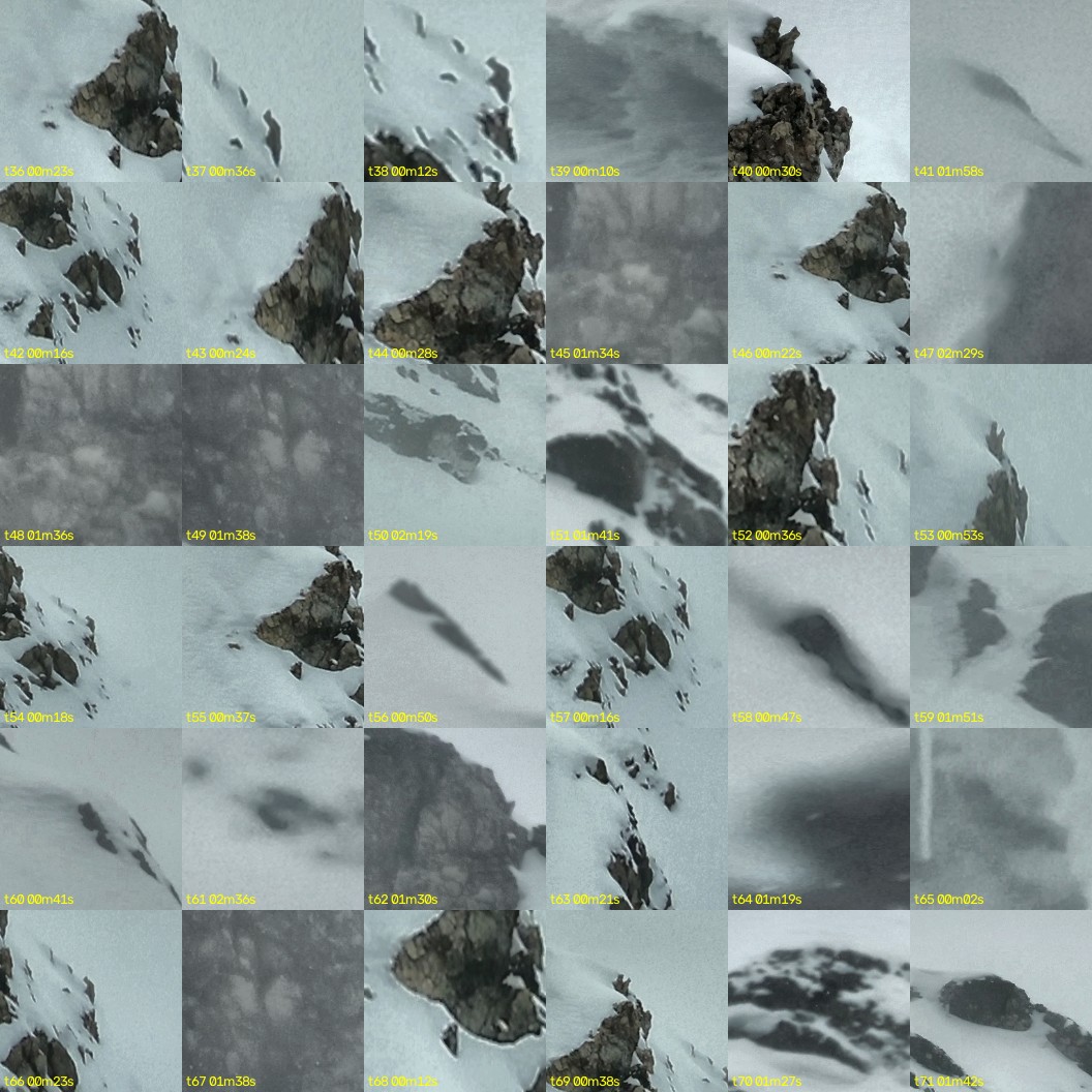 montage_01.jpg