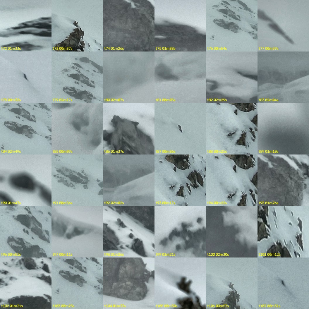 montage_02.jpg