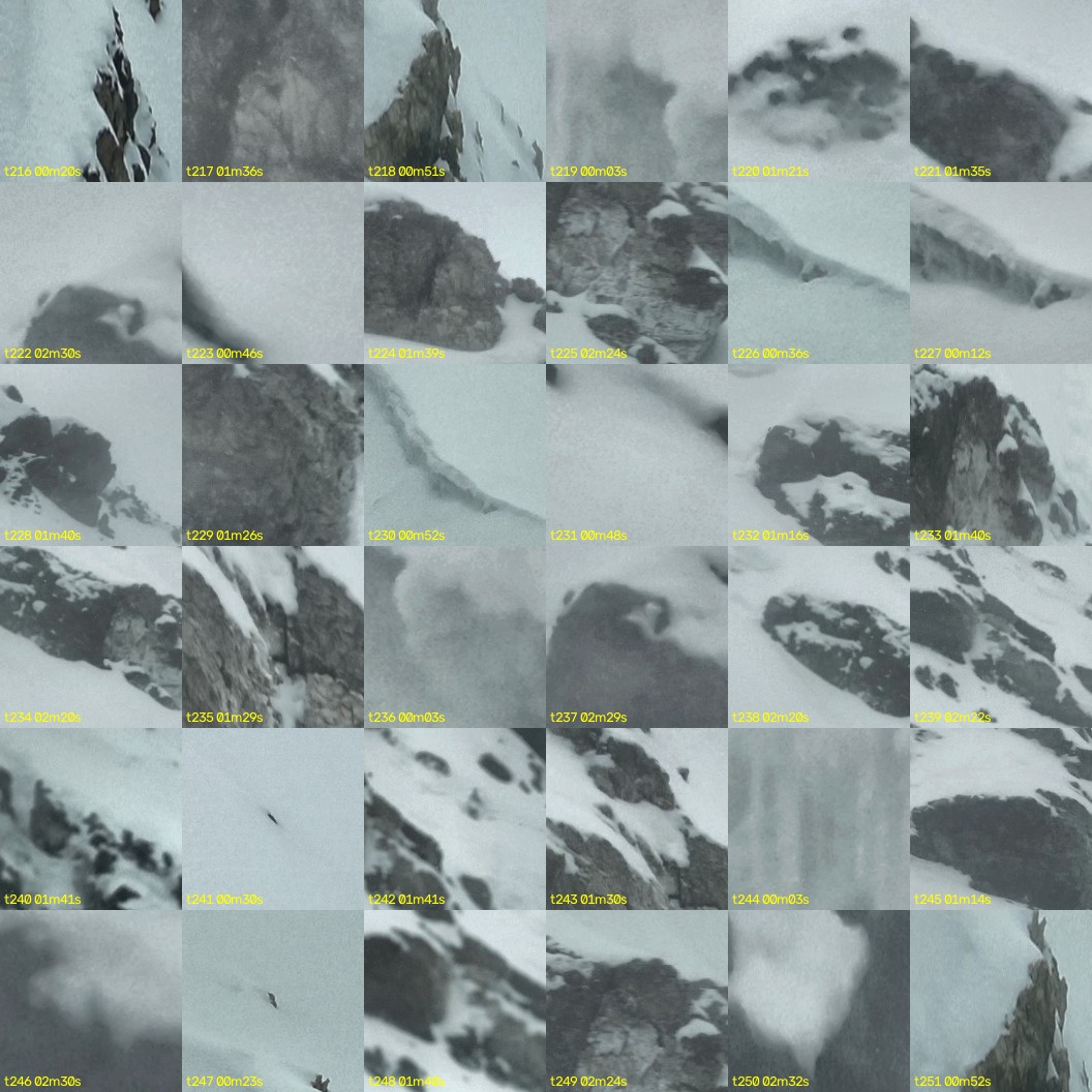 montage_06.jpg