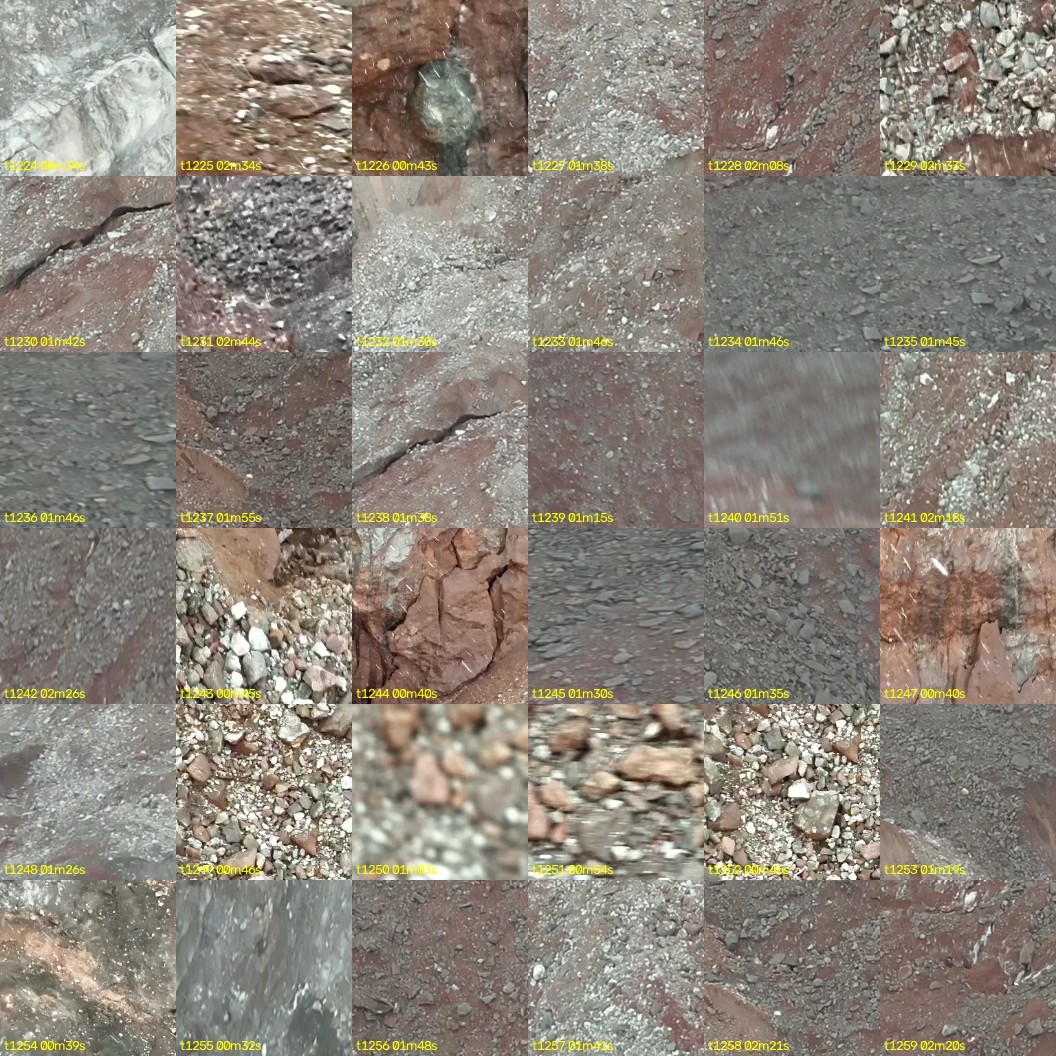 montage_34.jpg