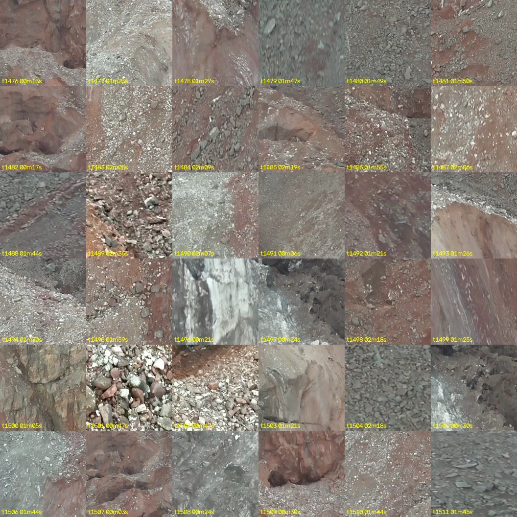 montage_41.jpg