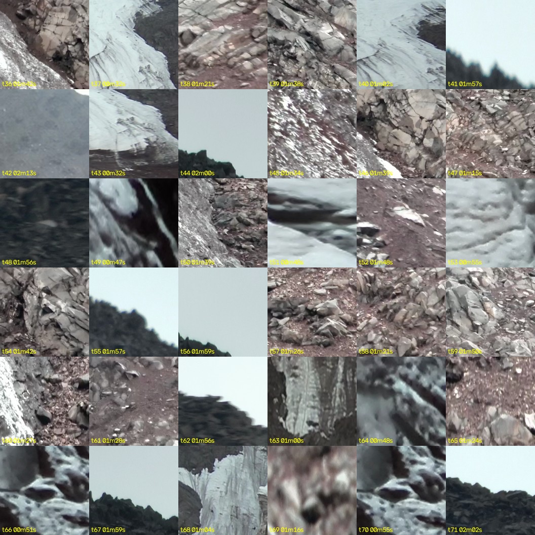 montage_01.jpg