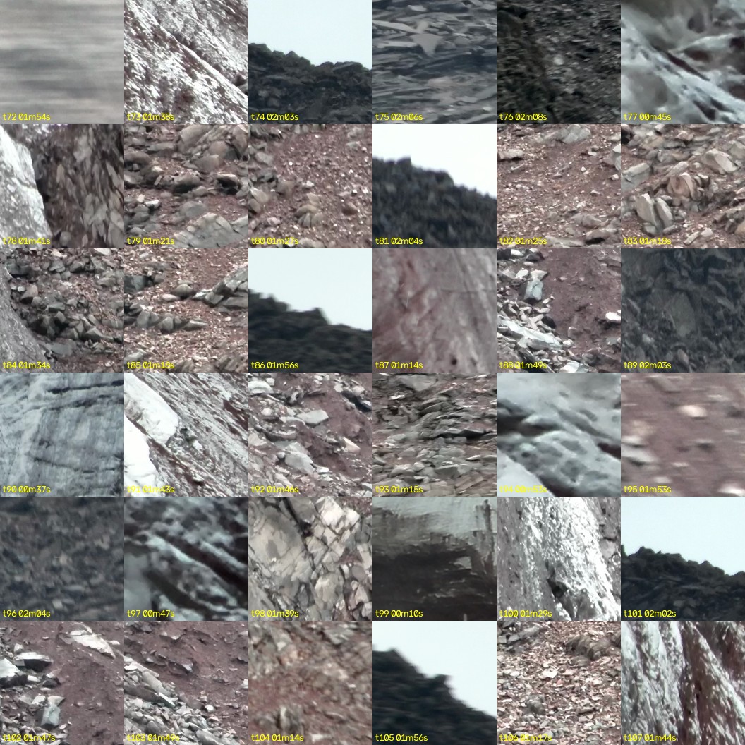 montage_02.jpg