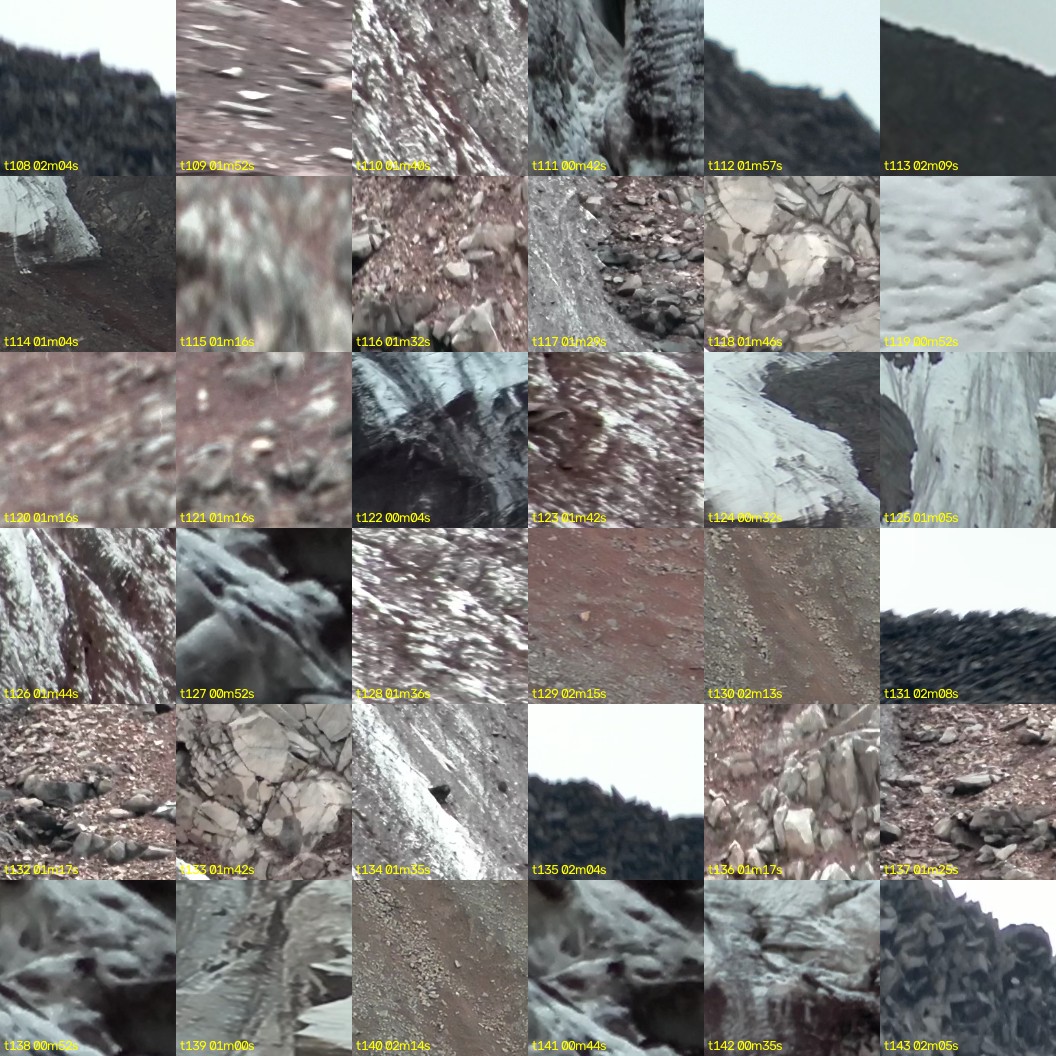 montage_03.jpg