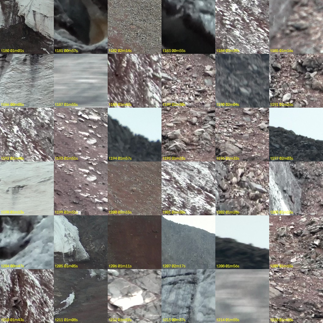 montage_05.jpg
