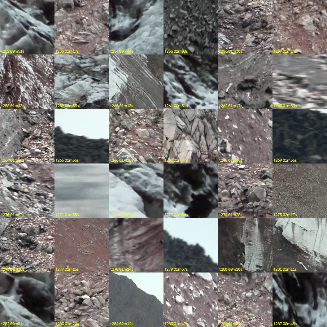 montage_07.jpg