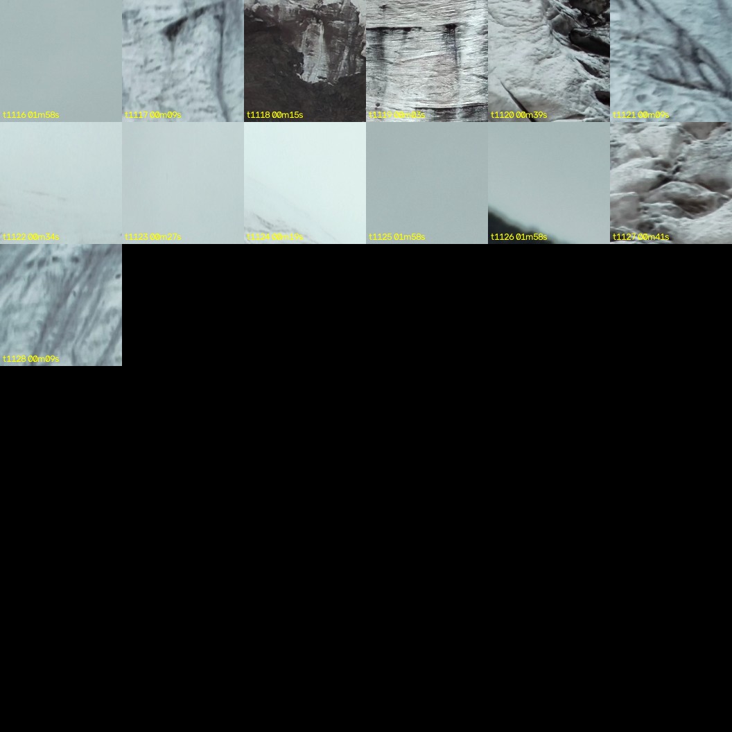 montage_31.jpg