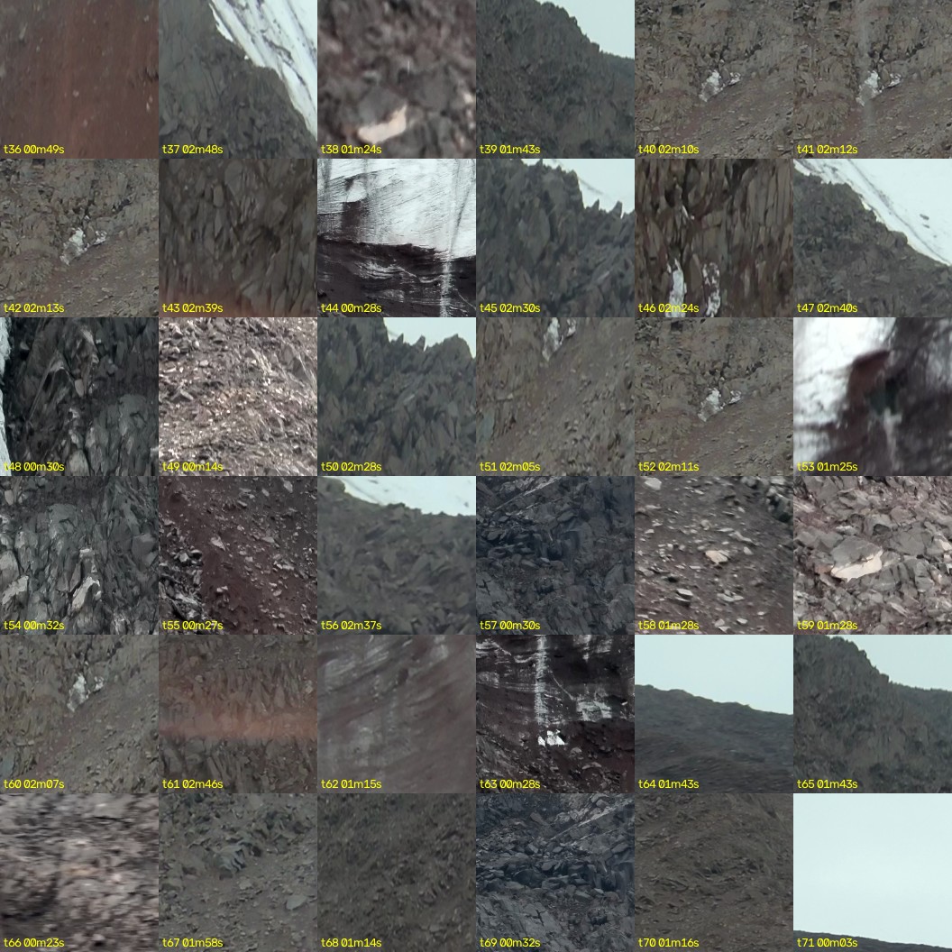 montage_01.jpg