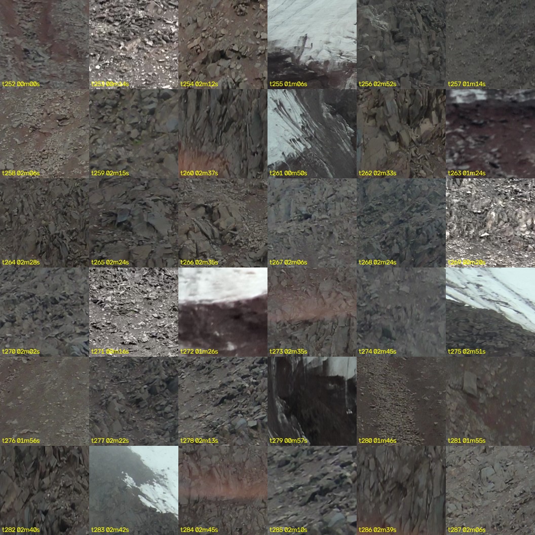 montage_07.jpg