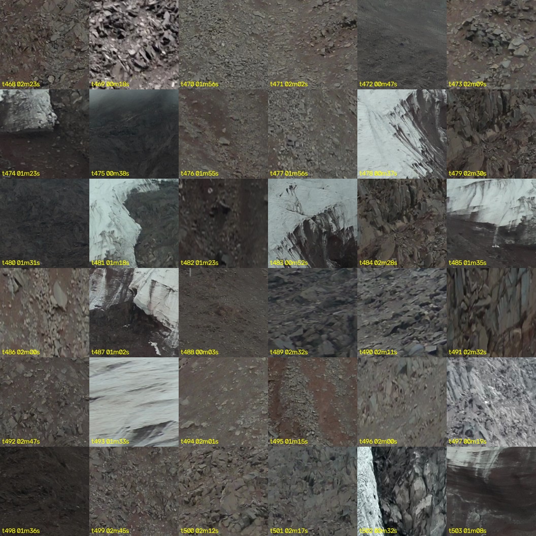 montage_13.jpg