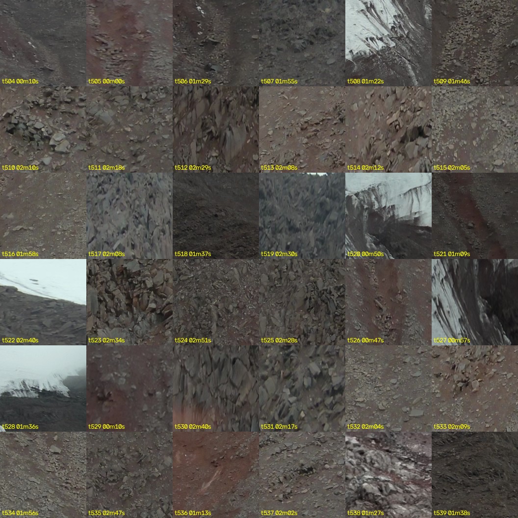 montage_14.jpg