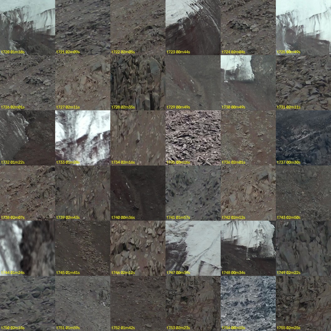 montage_20.jpg