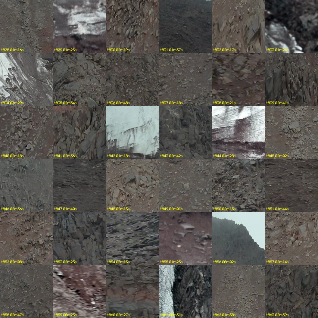 montage_23.jpg